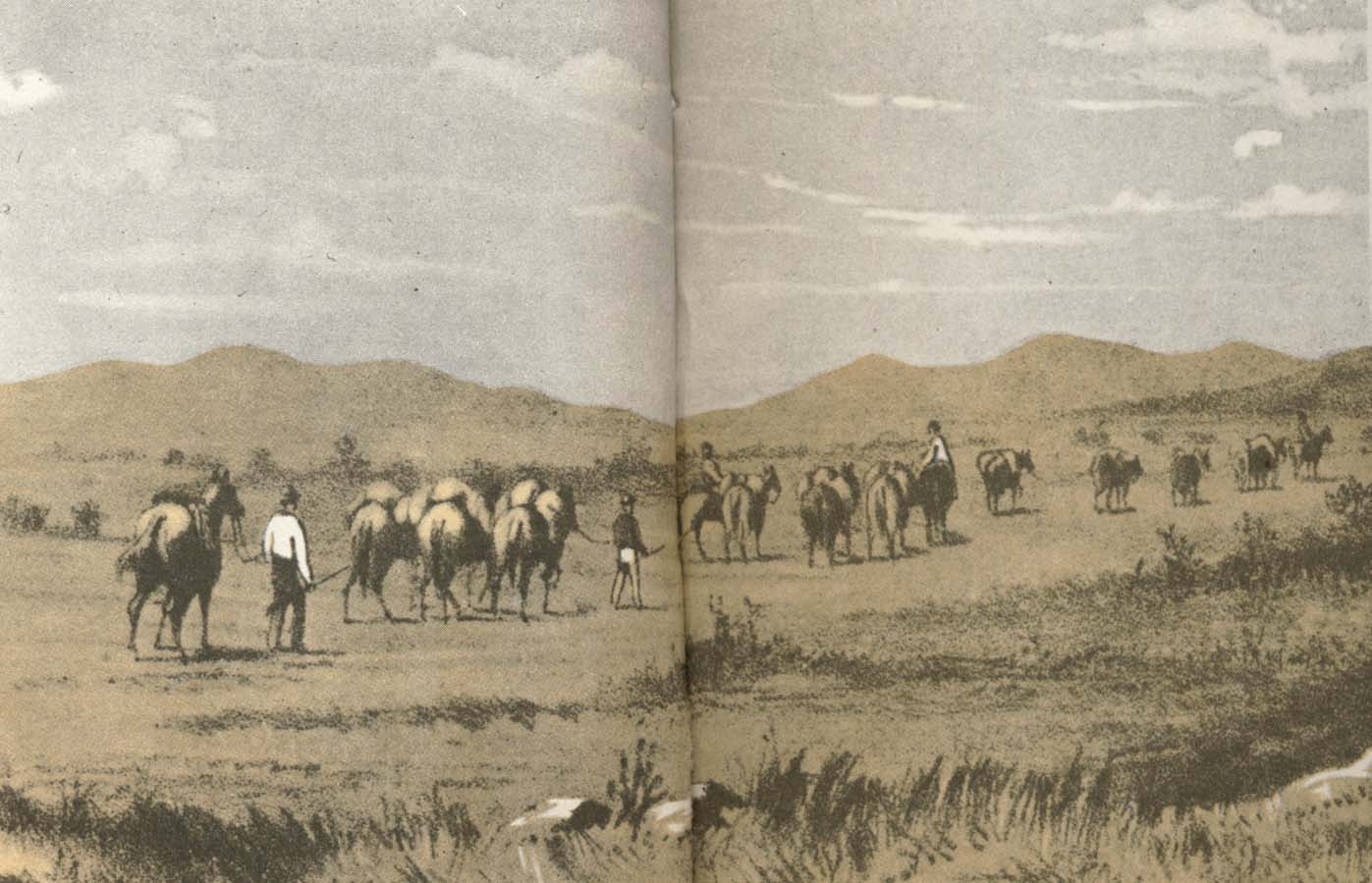 fohn forres expedition rastar nara murchison flodes kallor under farden 1874 fran vastra australien till telrgraflinjen soder om alice springs.